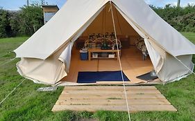 Cornish Skies Glamping